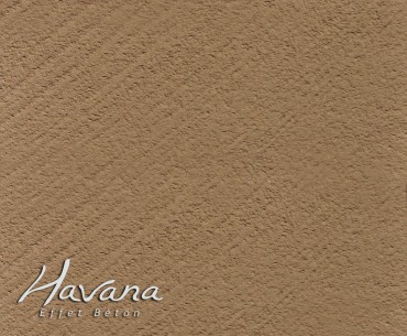 Havana • Effet béton mural - Mousson