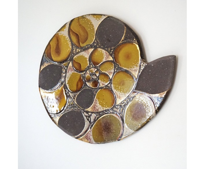 ROSE DESMAISONS - Tableau Ammonite