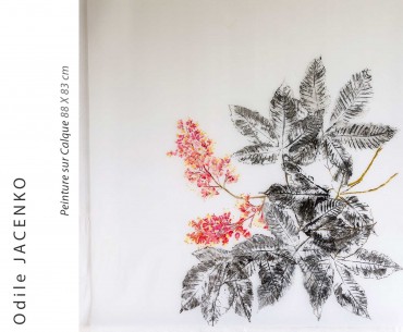 Odile Jacenko — Le Marronnier