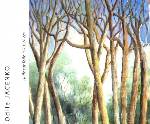 Odile Jacenko - La Clairière